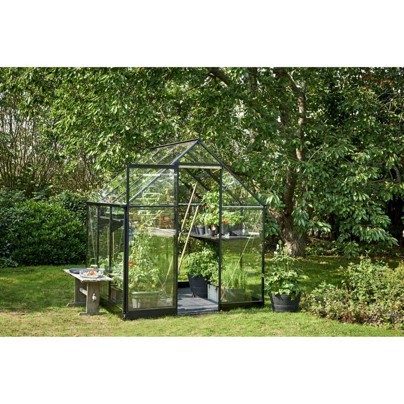 Gewächshaus 'Qube 66' 188,8 x 188,8 cm mit 3 mm Sicherheitsglas schwarz