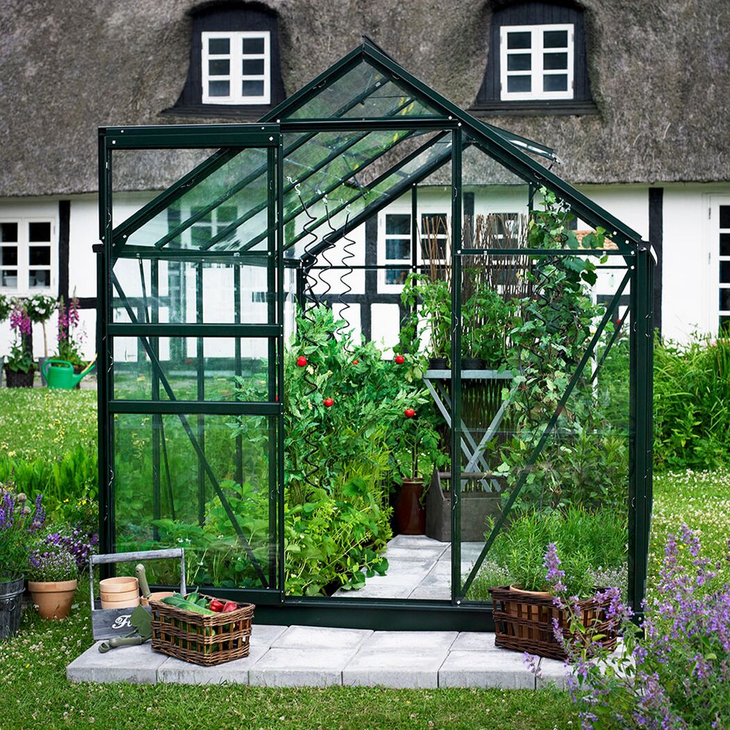 Gewächshaus mit Tomatenpflanzen und Gemüse