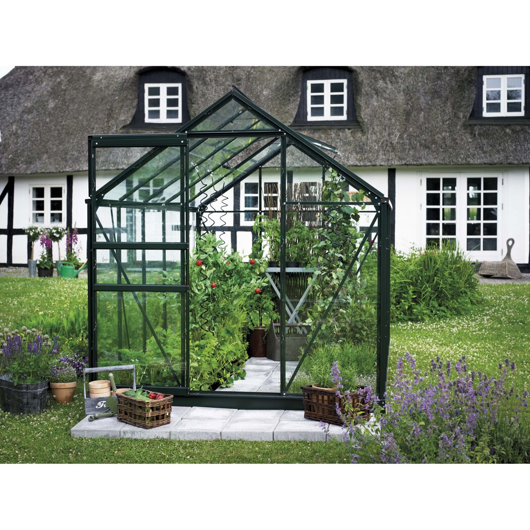Gewächshaus mit Gemüsepflanzen und Kräutern.