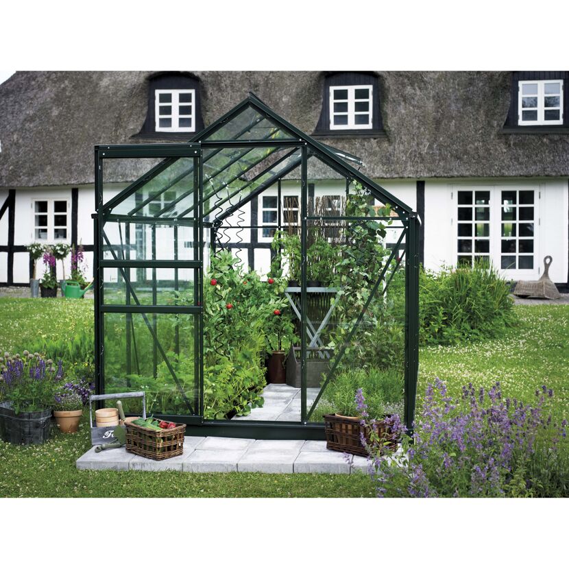 Gewächshaus mit Gemüsepflanzen und Kräutern.
