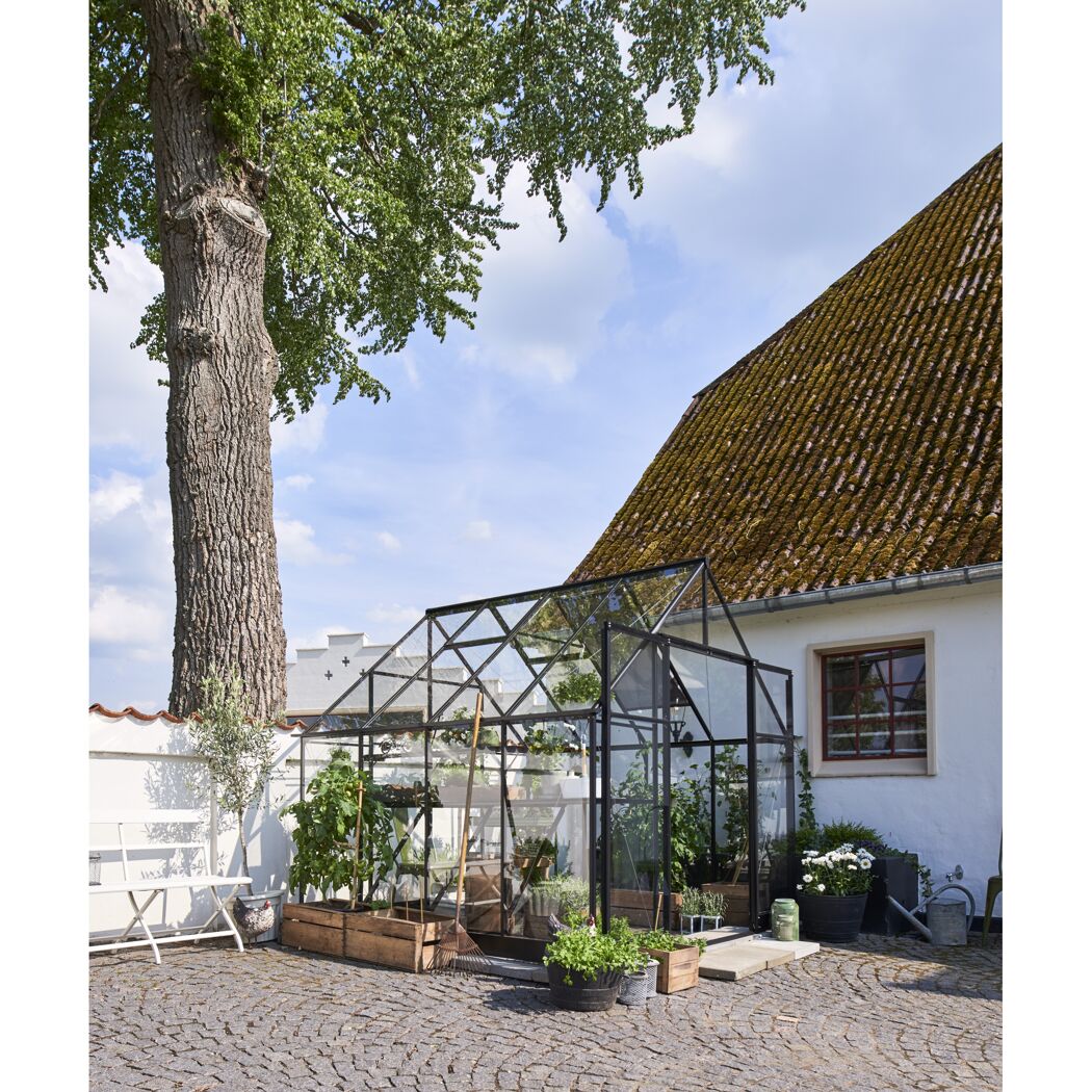 Gewächshaus GWH Qube plus 88 schwarz