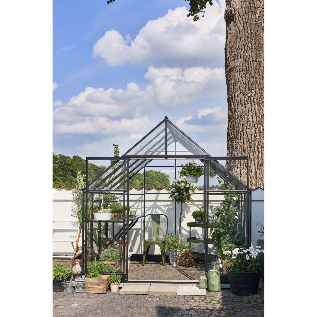 Gewächshaus mit Pflanzen und Gartenmöbeln