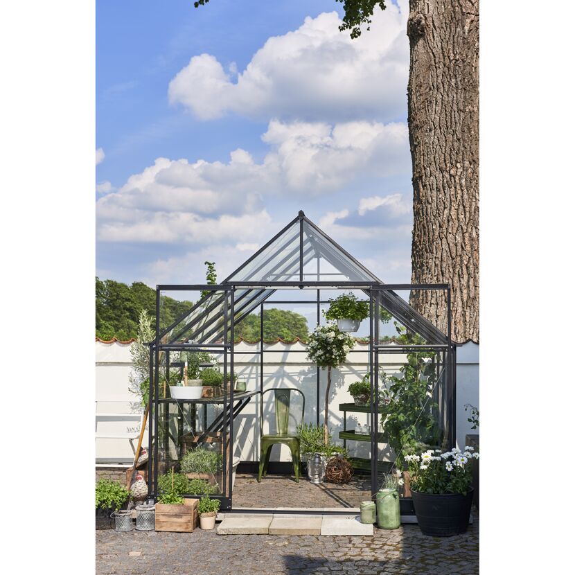 Gewächshaus mit Pflanzen und Gartenmöbeln