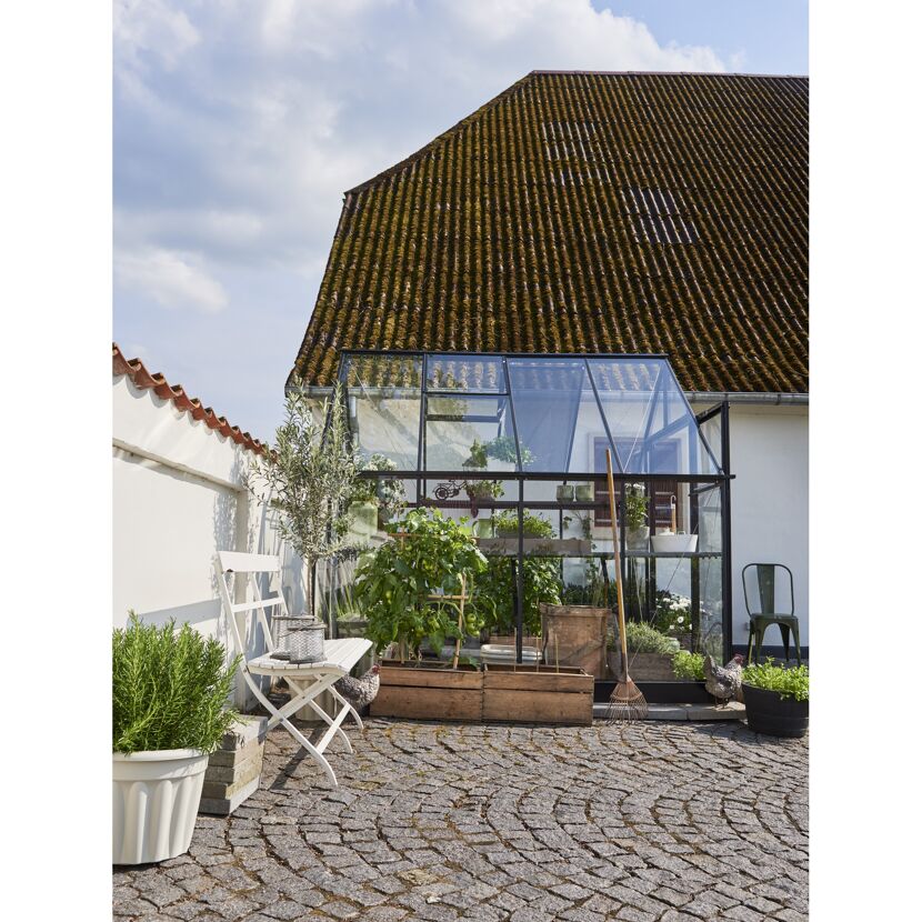 Gewächshaus im Garten mit Pflanzen und Gartenwerkzeugen