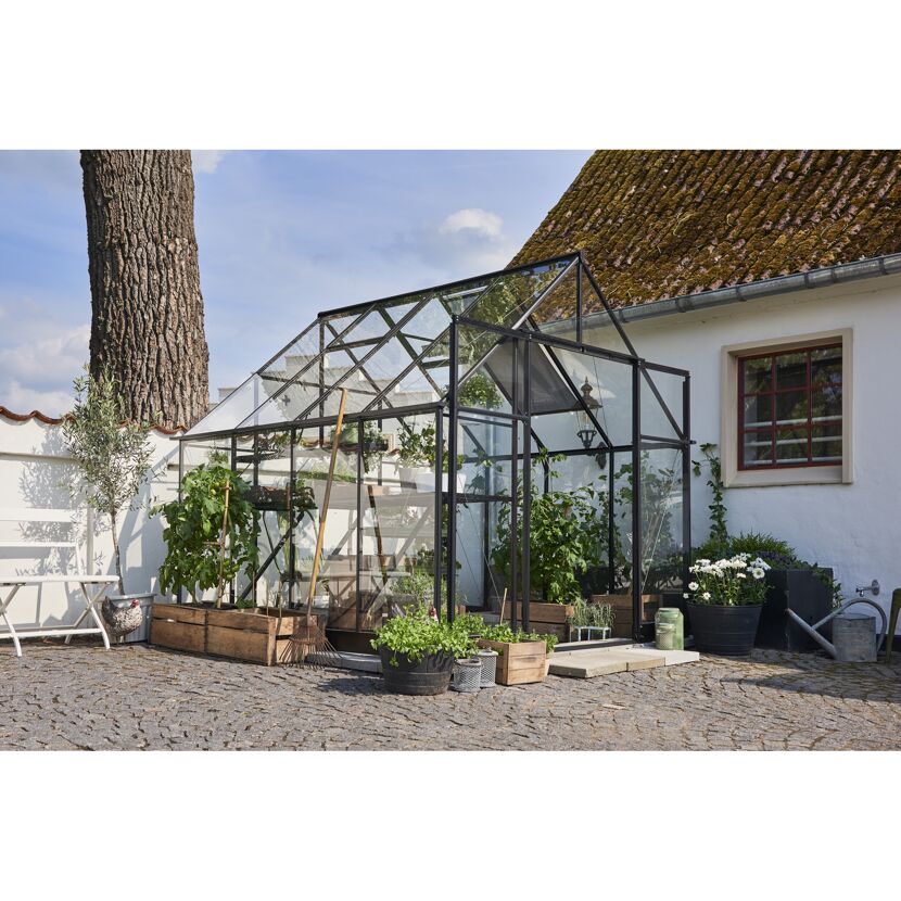 Gewächshaus GWH Qube plus 88 schwarz mit Pflanzen