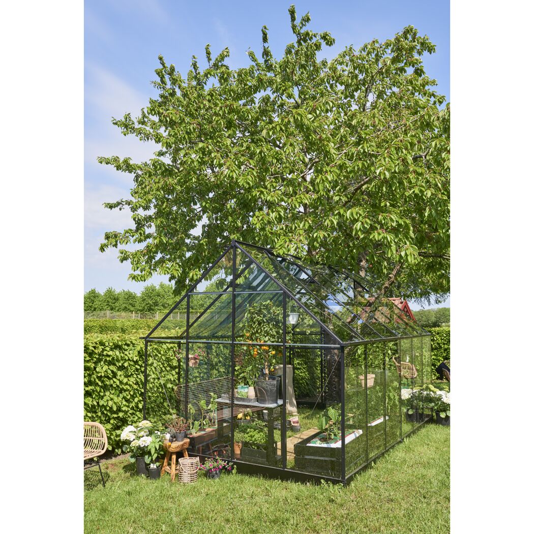 Gewächshaus mit verschiedenen Pflanzen im Garten