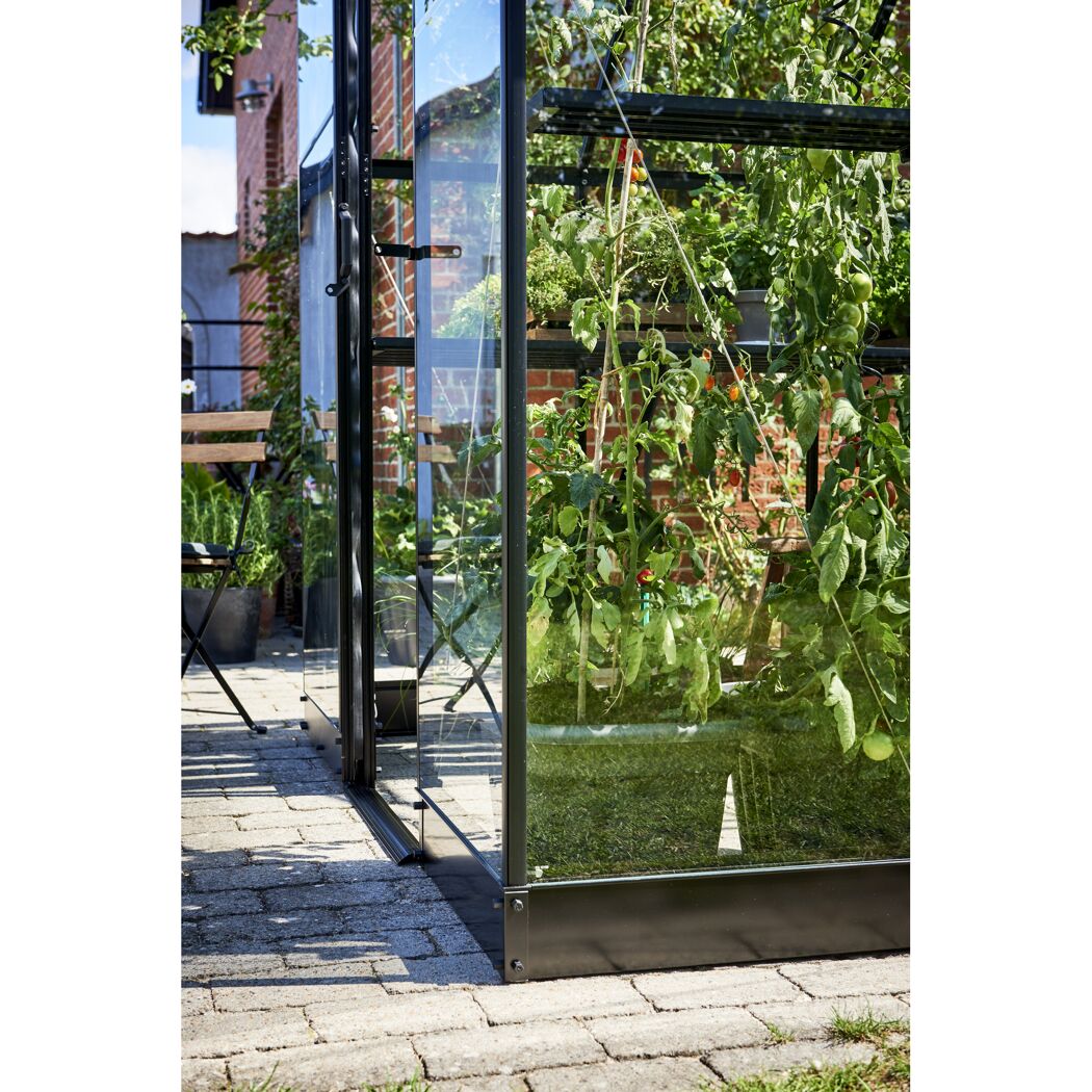 Gewächshaus mit Tomatenpflanzen