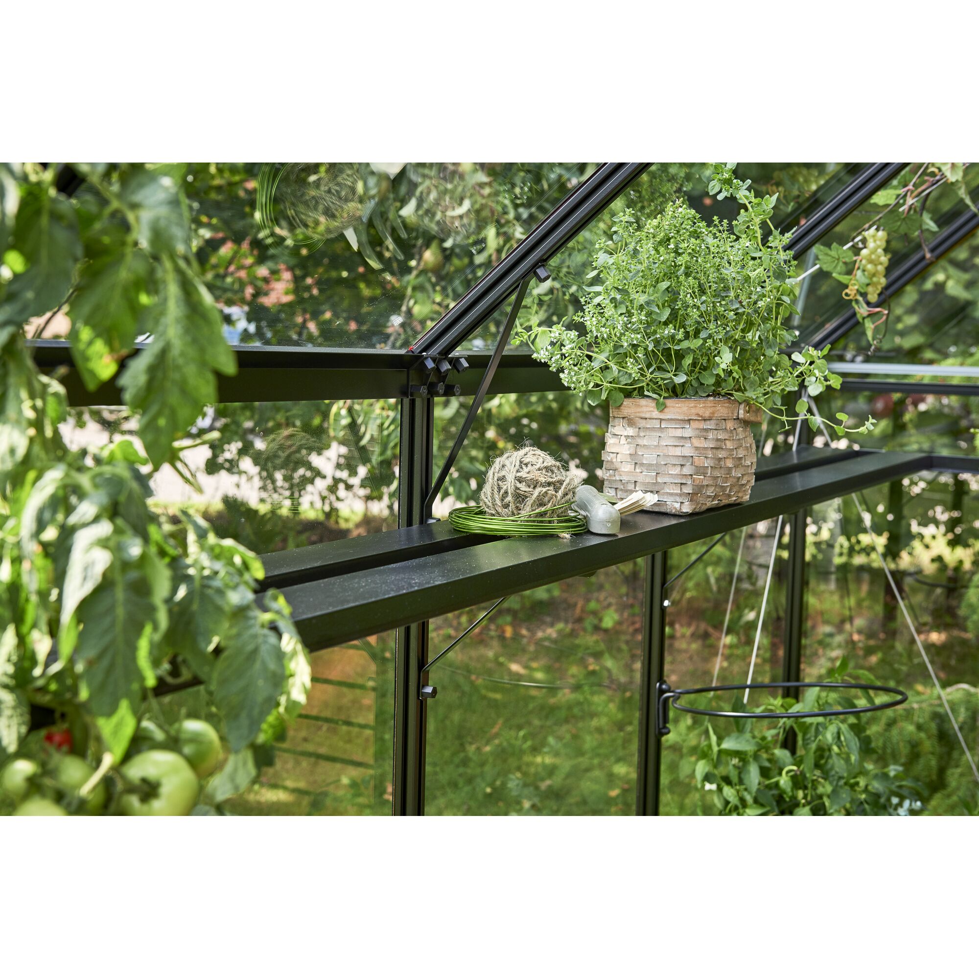 Gewächshausregal mit Topfpflanzen und Gartenschnur