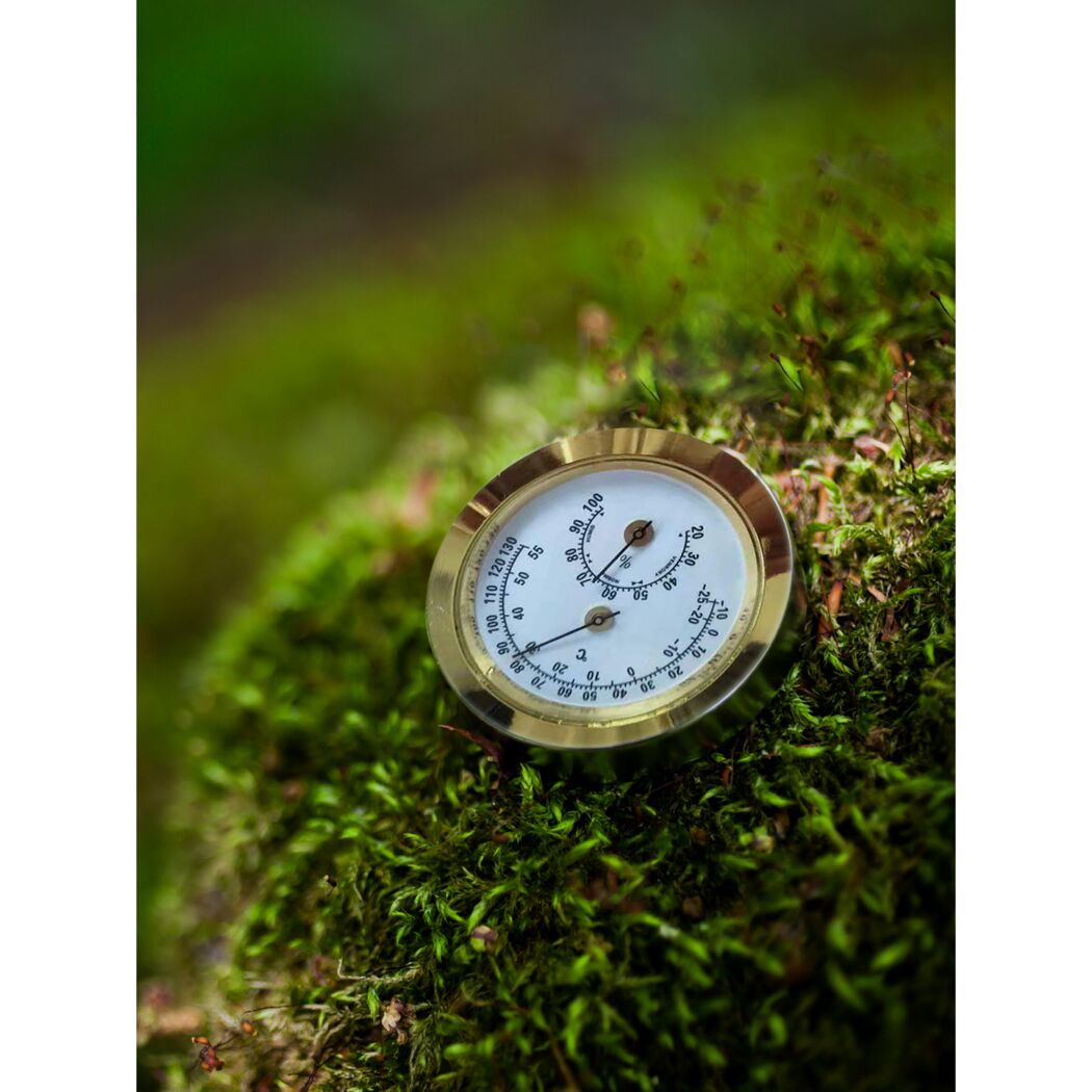 Messingfarbenes Hygrometer auf Moos