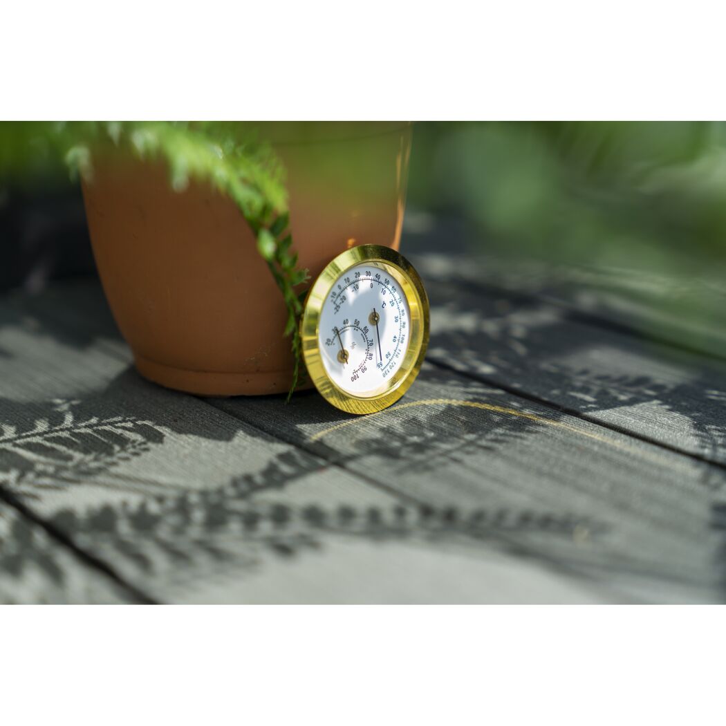 Analoges Hygrometer neben einem Blumentopf