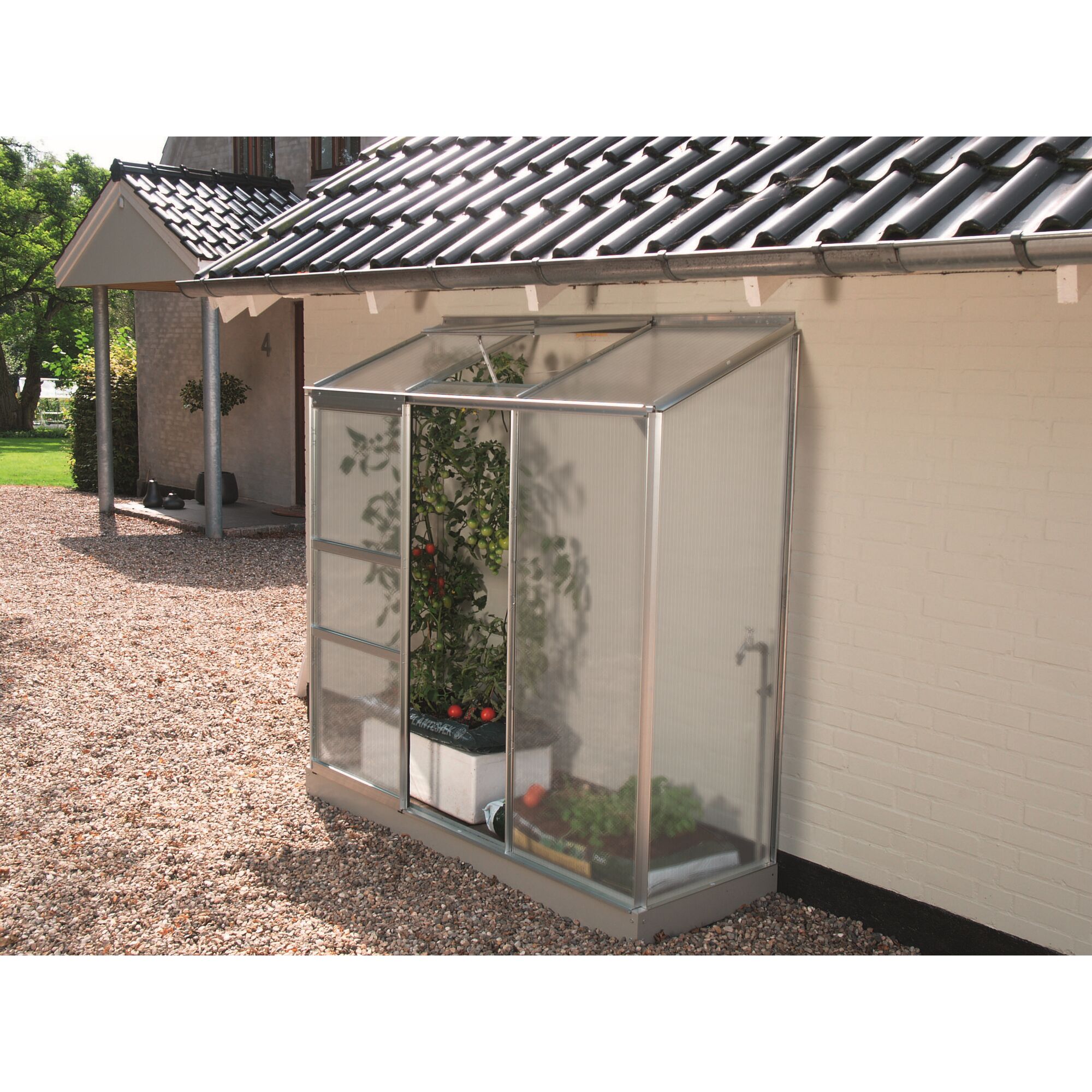 Anlehngewächshaus IDA mit Tomatenpflanzen