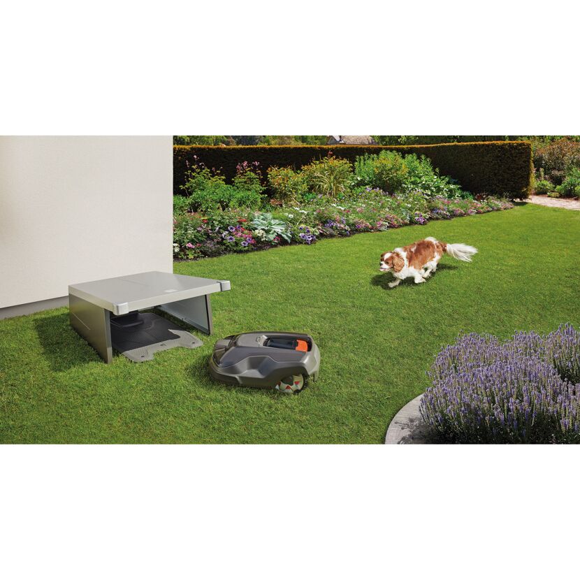 Rasenroboter mit Garage und Hund auf Rasen