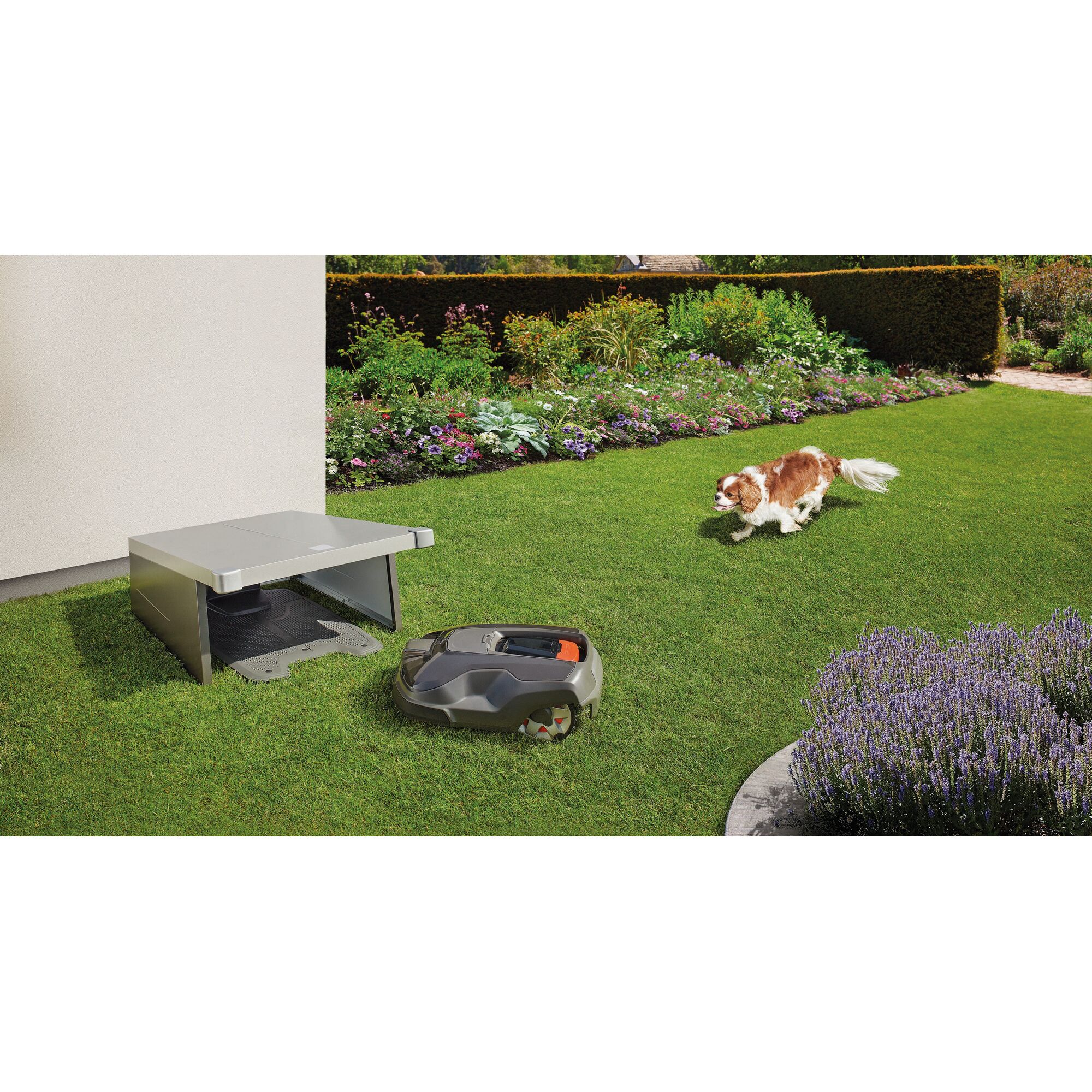 Rasenroboter mit Garage und Hund auf Rasen