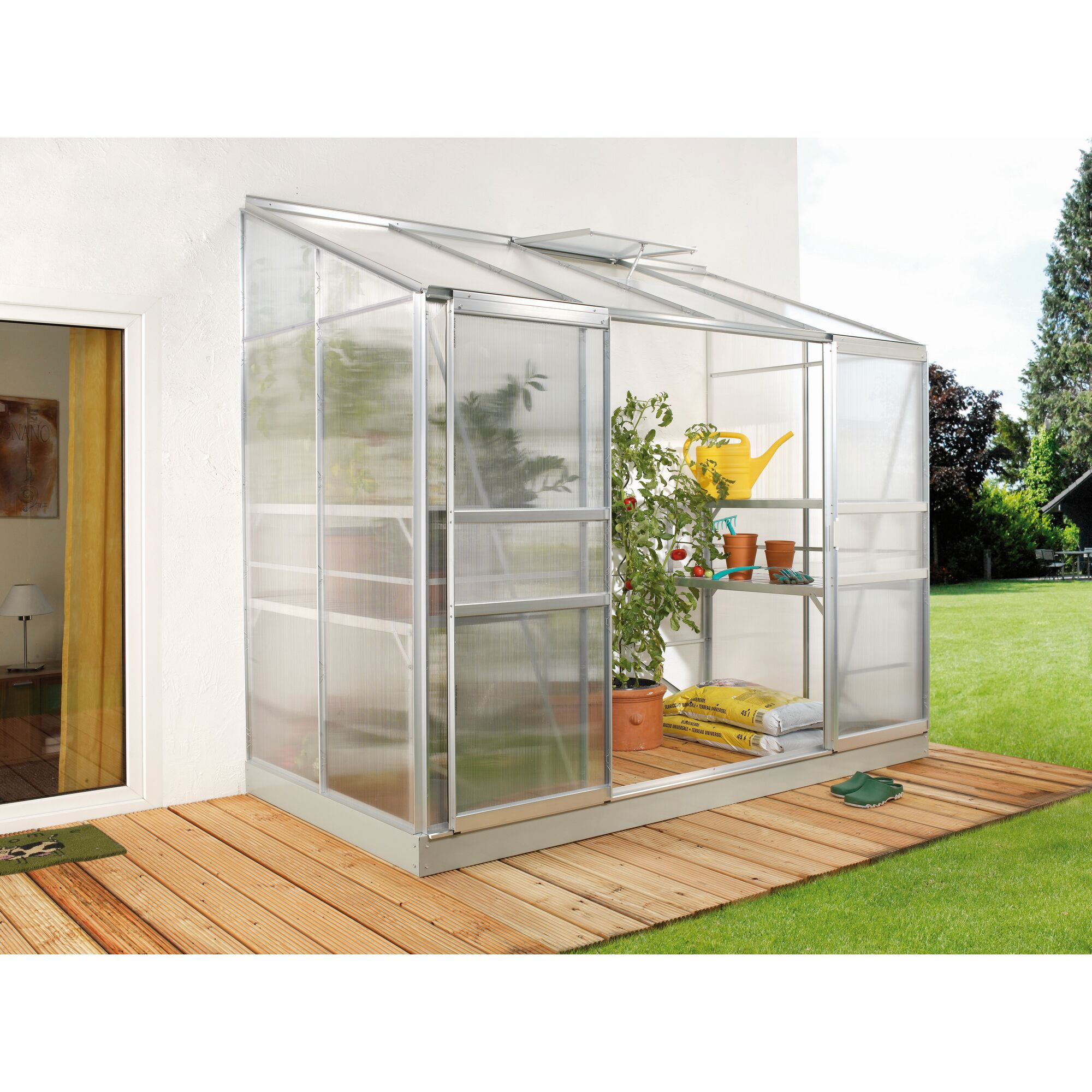 Anlehngewächshaus IDA mit Tomatenpflanze