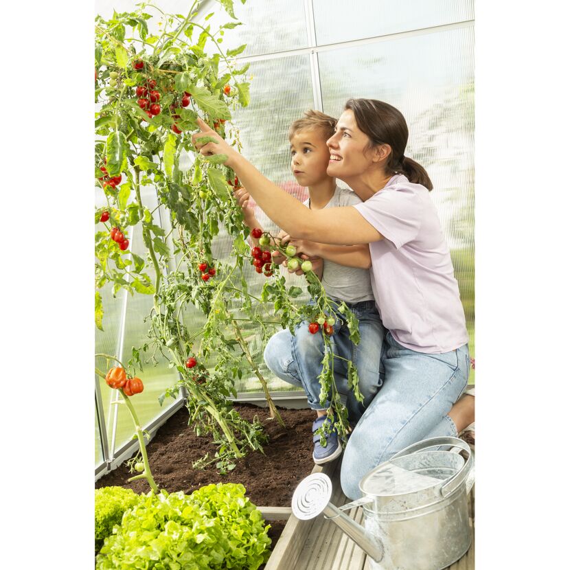 Mutter und Kind ernten Tomaten im Gewächshaus