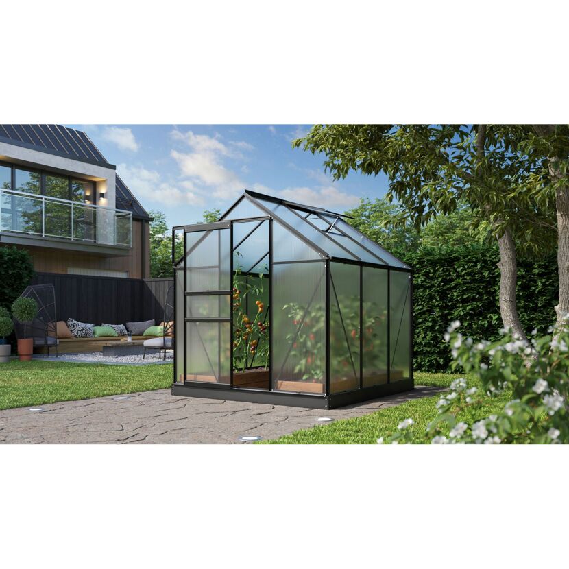 Gewächshaus mit Tomatenpflanzen im Garten