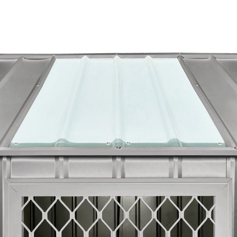 Durchsichtiges Dachpaneel Skylight 1