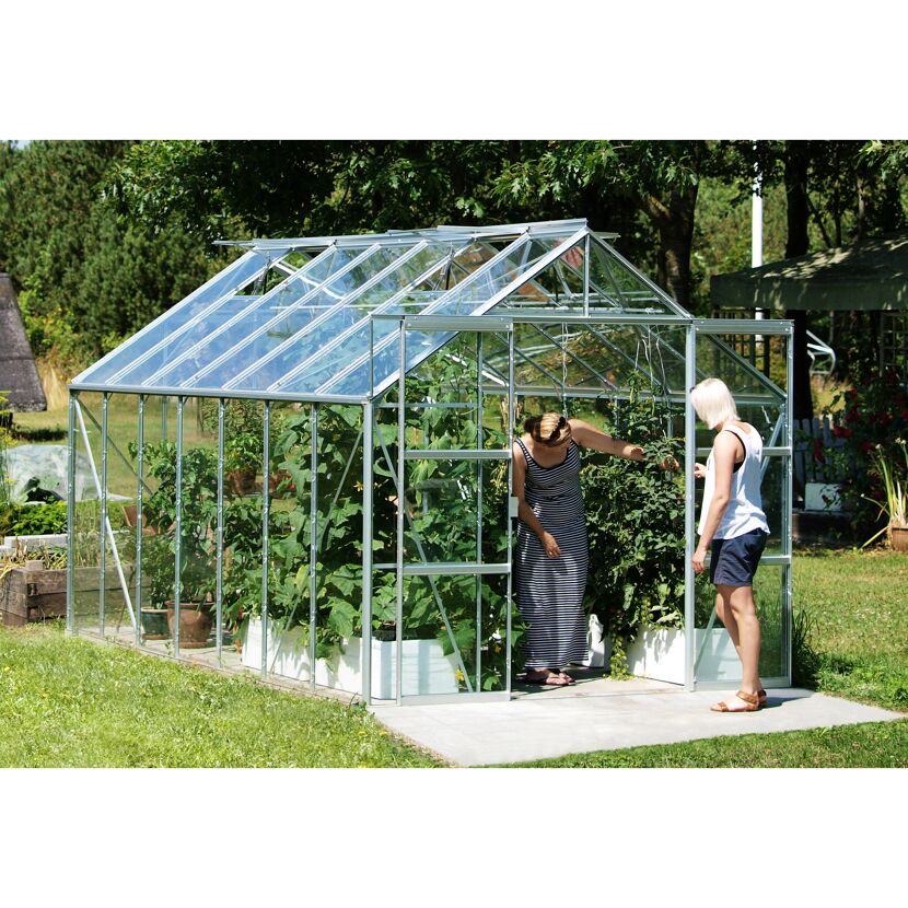 Zwei Personen in einem Gewächshaus mit Tomatenpflanzen.