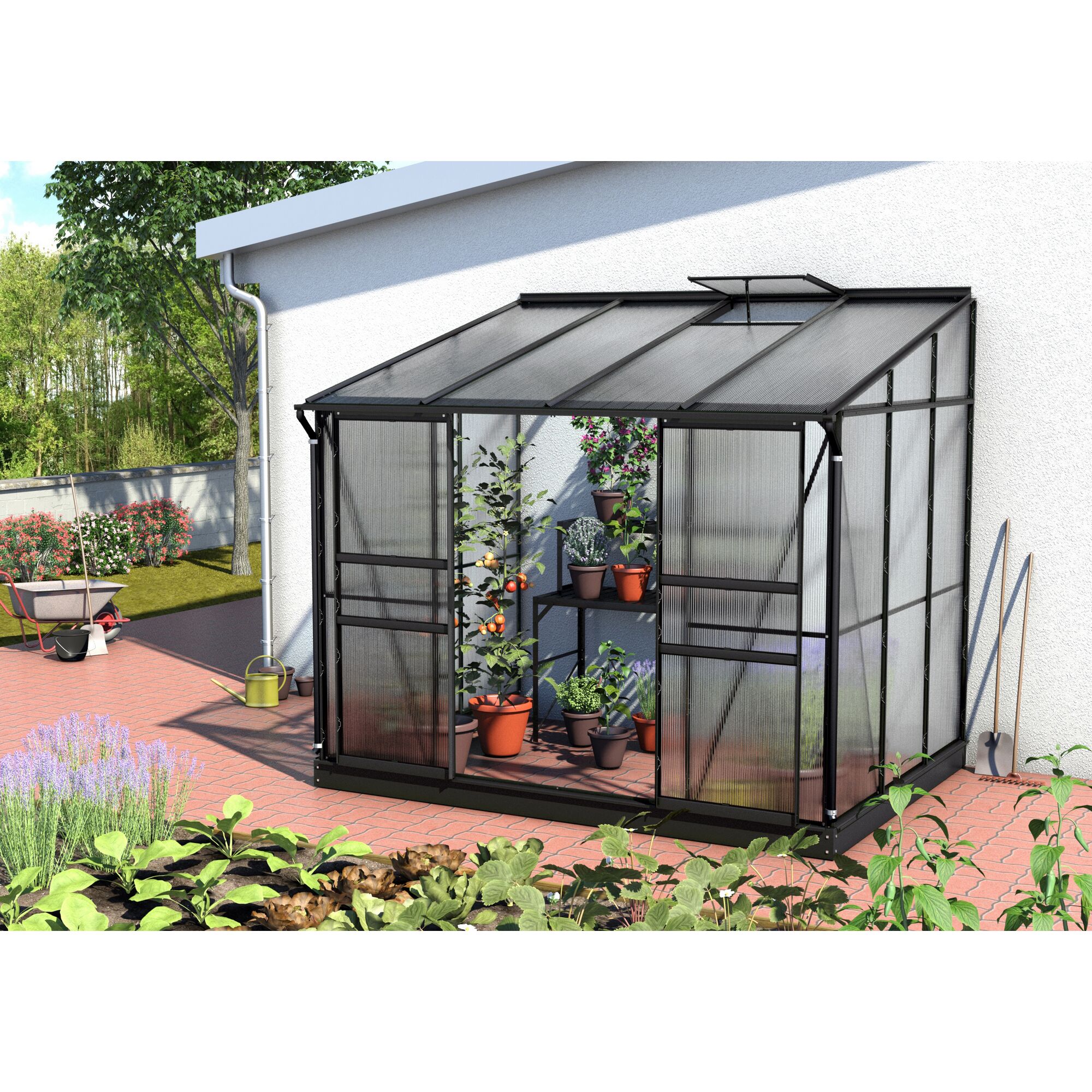 Kleines schwarzes Gewächshaus mit Tomatenpflanzen