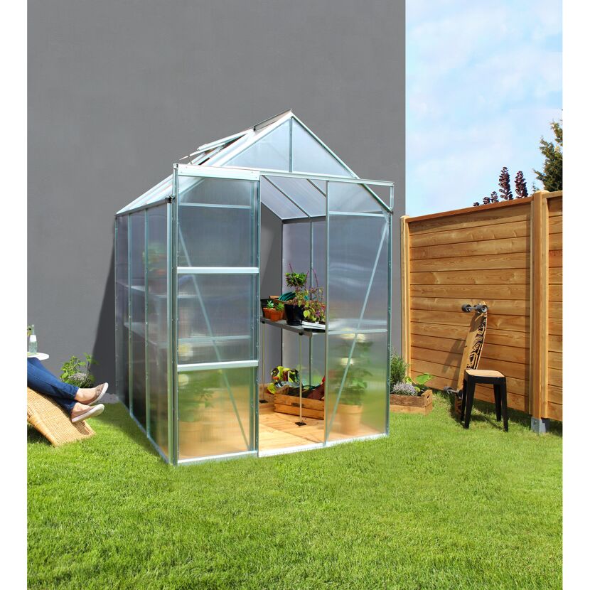 Kleines Gewächshaus im Garten mit geöffneter Tür