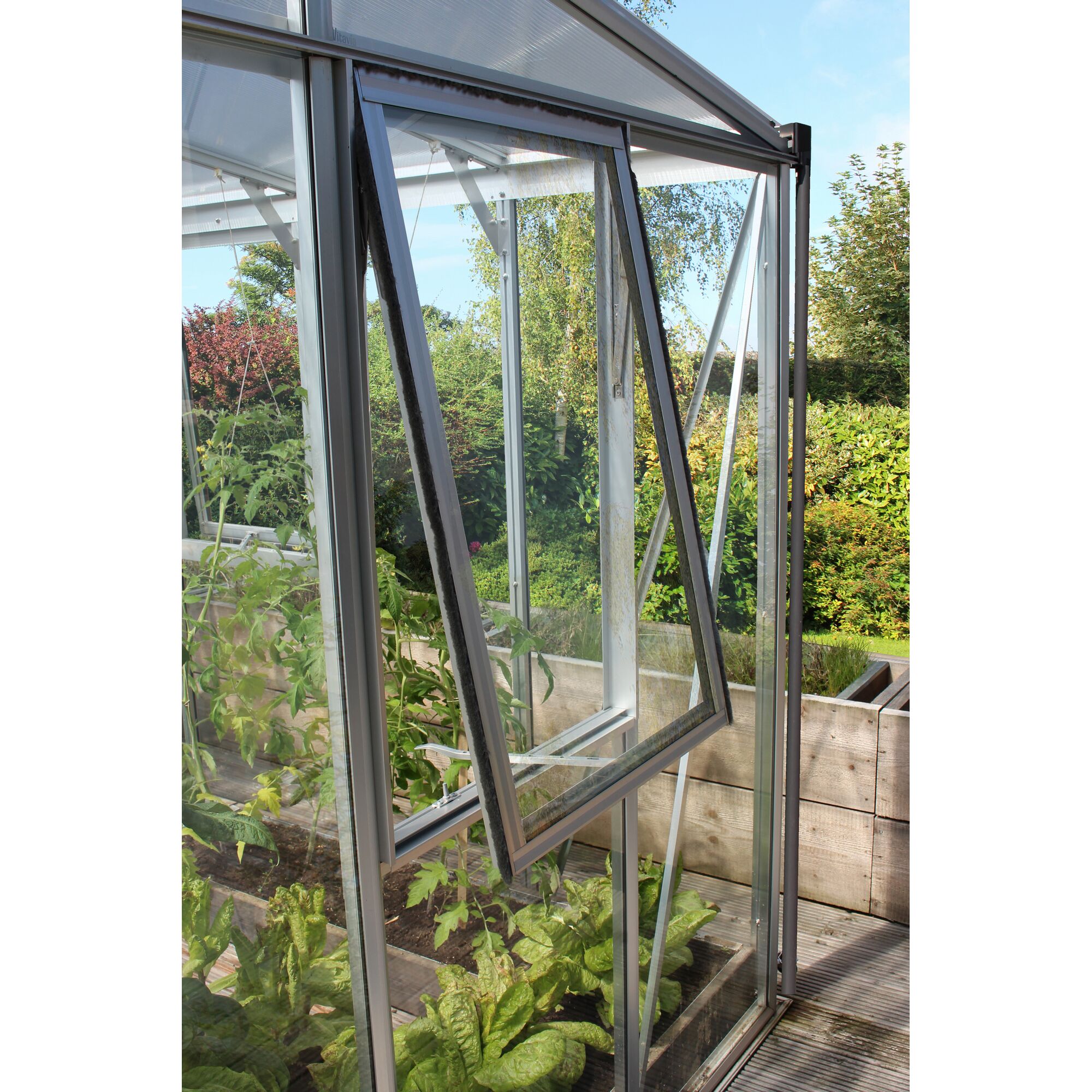 Geöffnetes Seitenfenster eines Gewächshauses