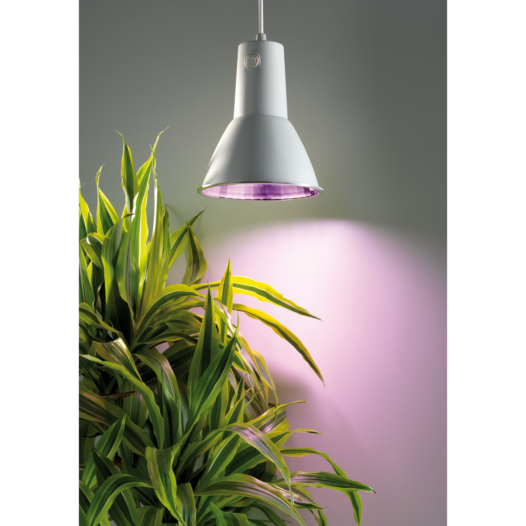 Ersatzlampe für Pflanzenleuchte 'L15' weiß + product picture