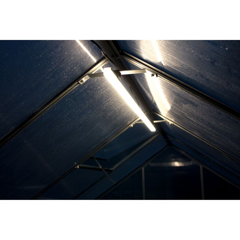 LED-Leuchte im Gewächshaus