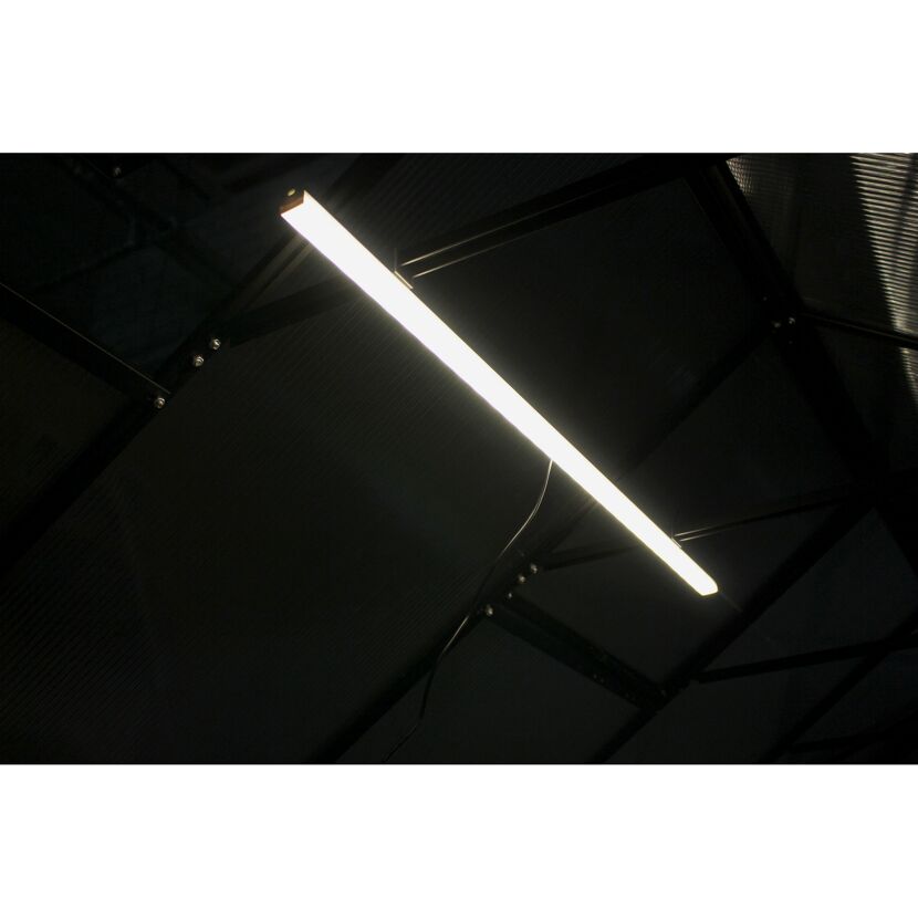 LED-Leuchte beleuchtet ein Gewächshaus
