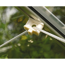 Verkleinertes Bild von Pflanzenhalter für Gewächshäuser creme-weiß 10 Stück