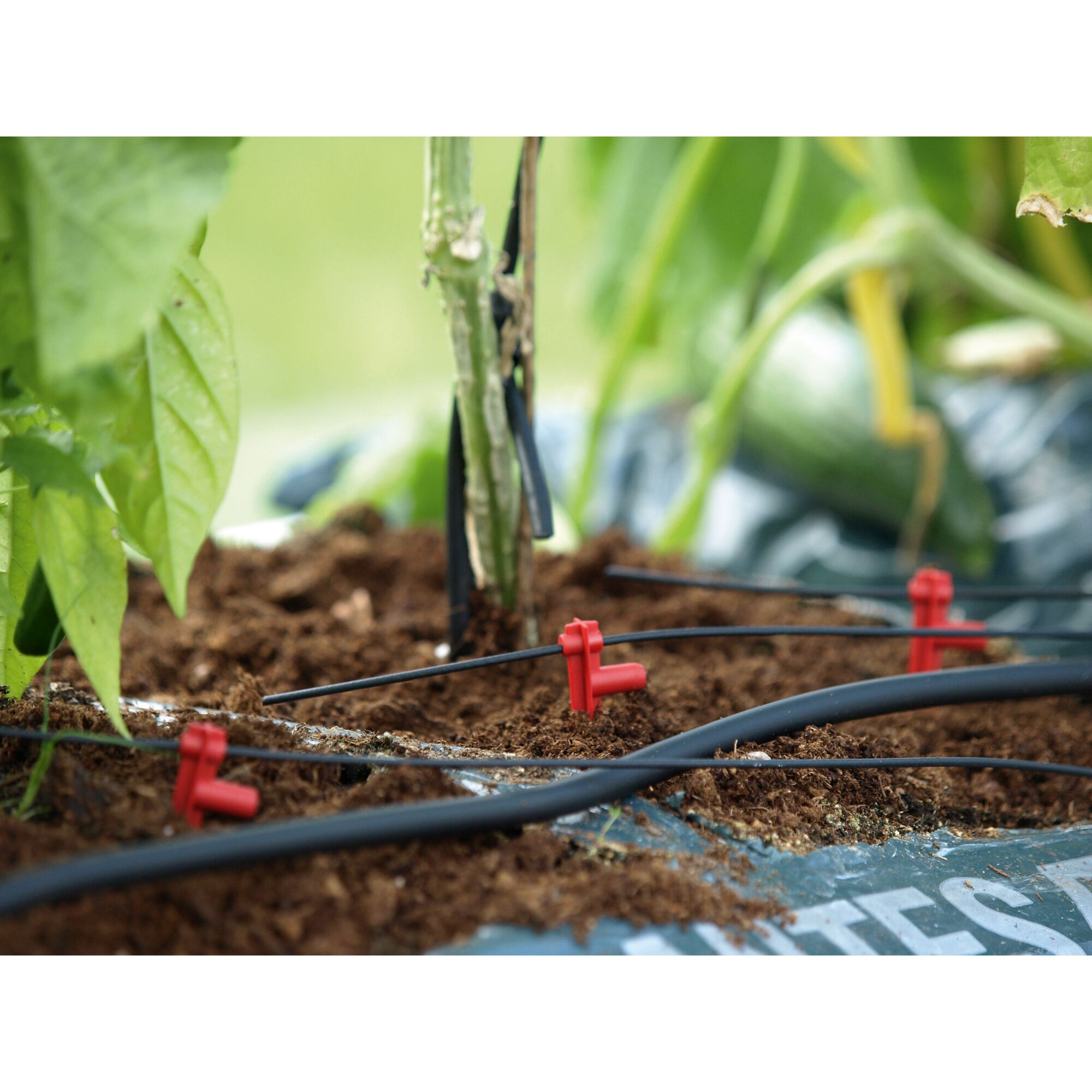 Hydromat-Set mit Schlauch und Halterung