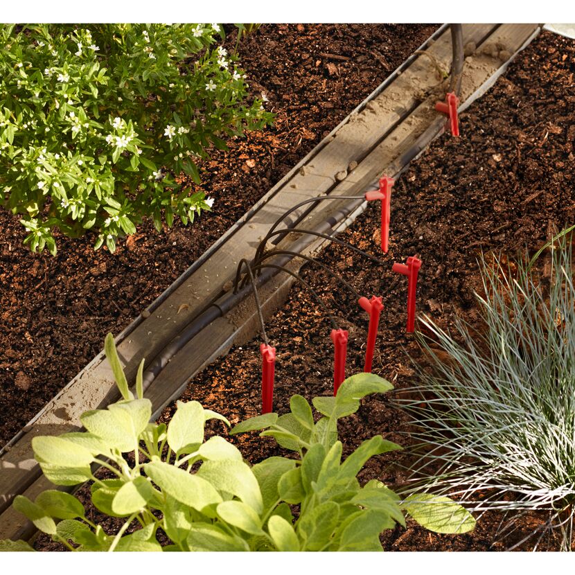 Hydromat-System in einem Beet mit Kräutern