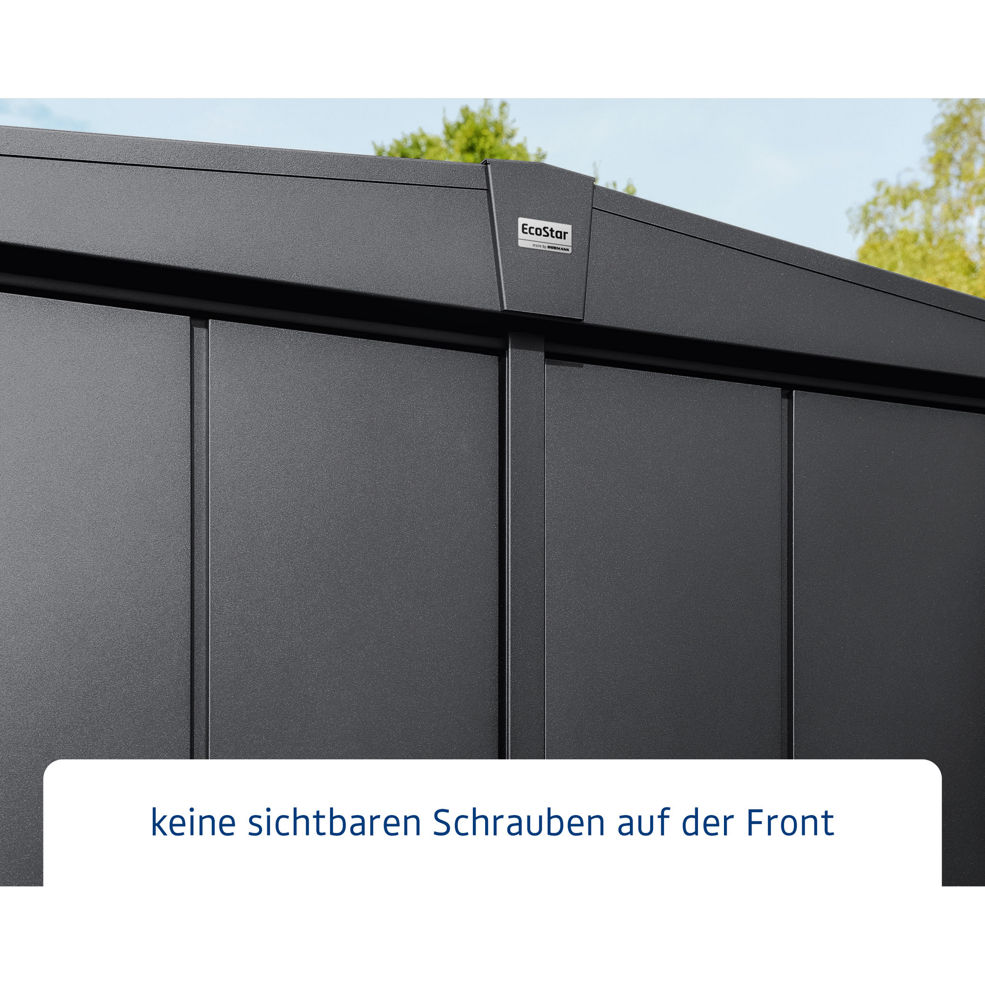 Gerätehaus 'Elegant Typ 3' anthrazit matt 288,2 x 218,2 cm, mit Doppeltür
