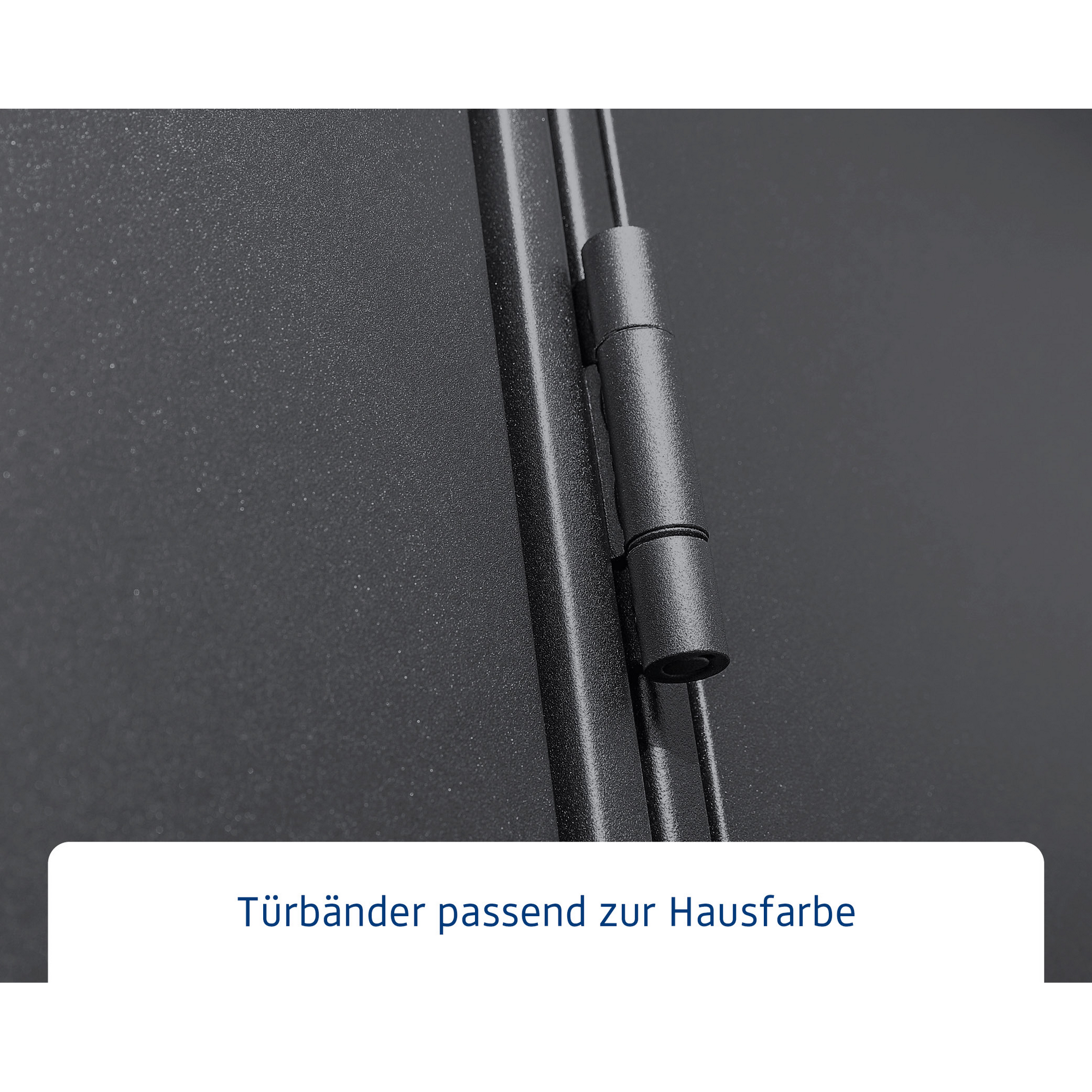 Gerätehaus 'Elegant Typ 3' anthrazit matt 288,2 x 218,2 cm, mit Doppeltür