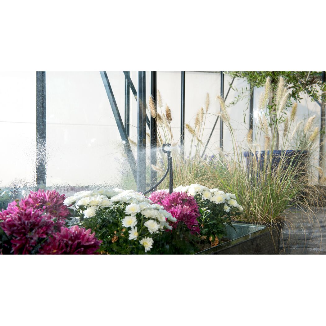 Bewässerungssystem bewässert Blumen im Gewächshaus
