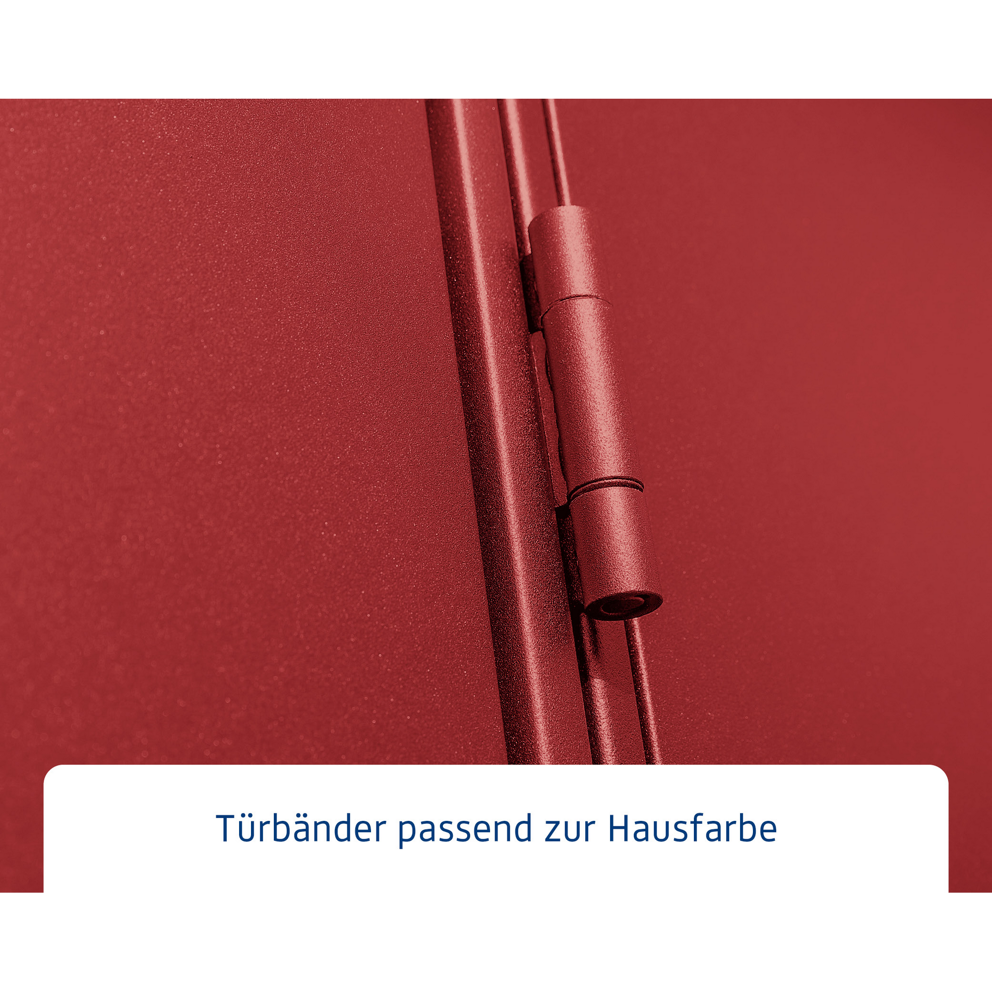 Gerätehaus 'Elegant Typ 2' purpurrot 218,2 x 218,2 cm, mit Einzeltür