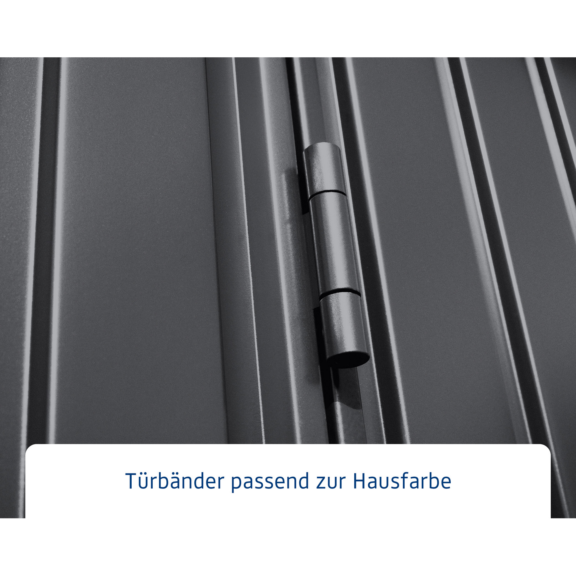 Gerätehaus 'Trend Typ 3' anthrazit matt 299,3 x 201,8 cm, mit Einzeltür und Fenster