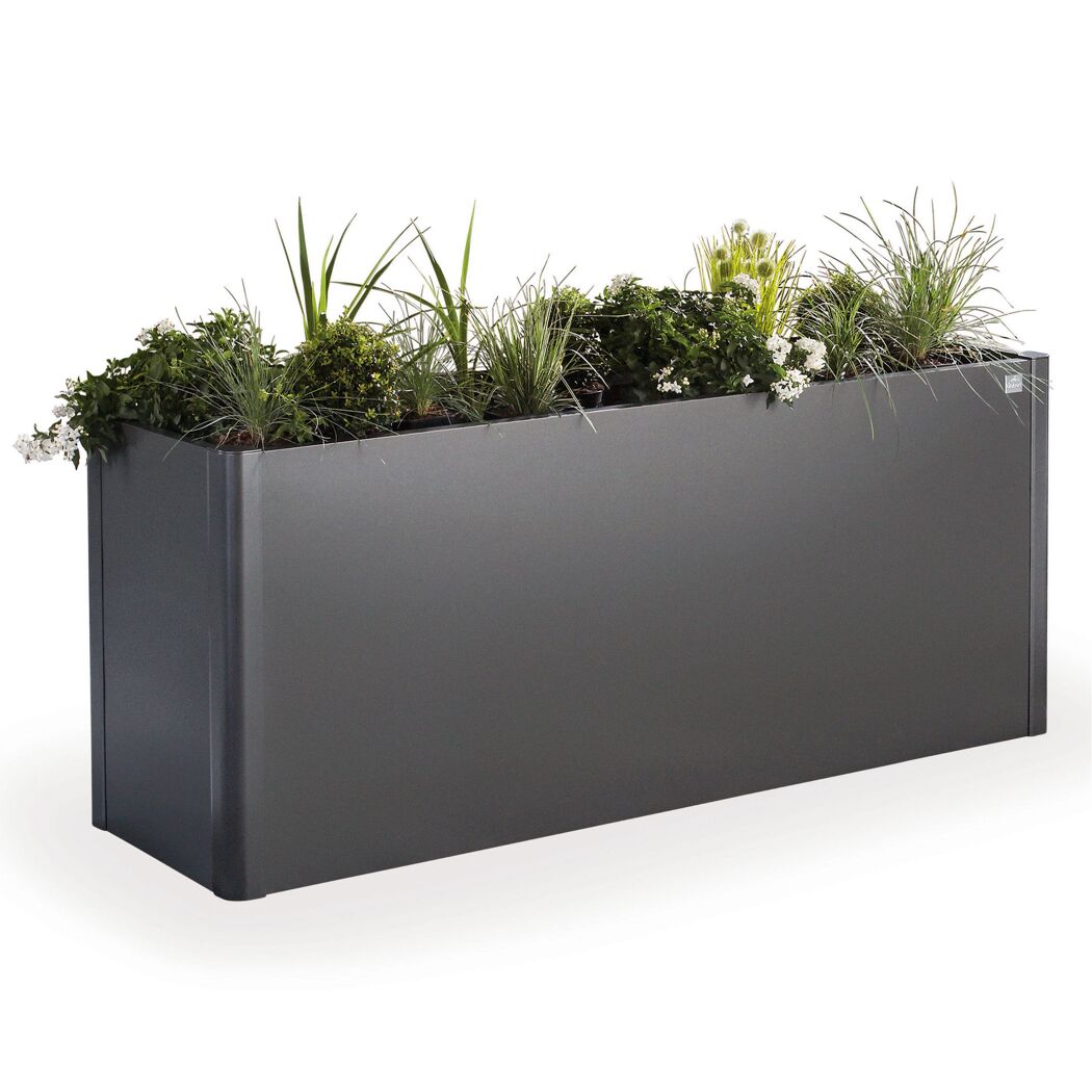 Grauer Blumenkasten mit verschiedenen Pflanzen