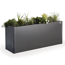 Pflanzbeet 'Belvedere MAXI 200' dunkelgrau-metallic 201 x 53 x 77 cm