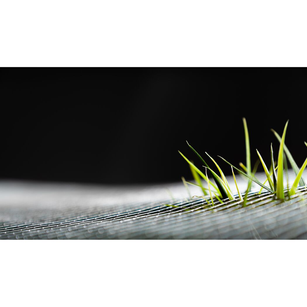 Gras wächst durch ein Drahtgeflecht