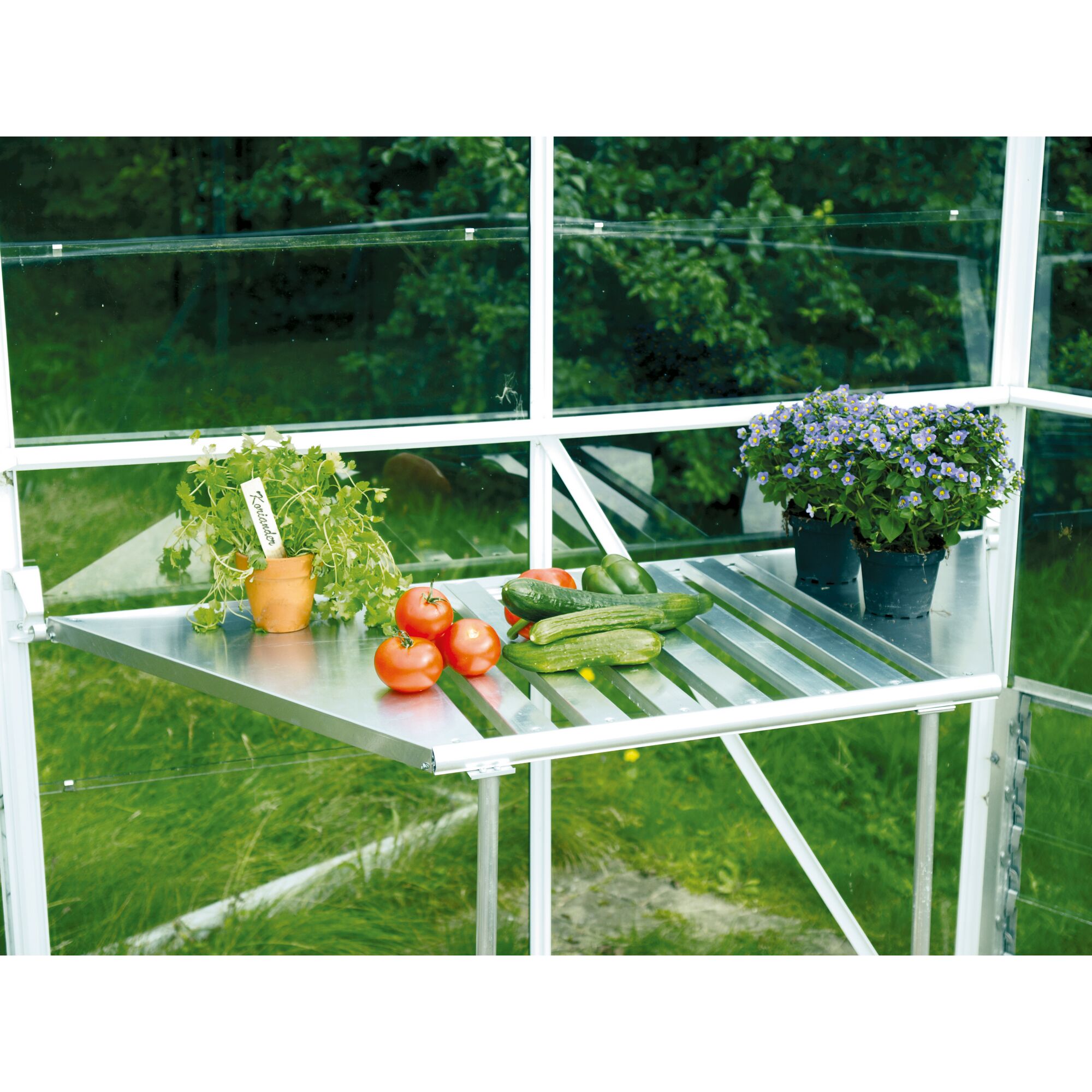 Alu-Gewächshaustisch mit Tomaten, Gurken, Kräutern und Blumen