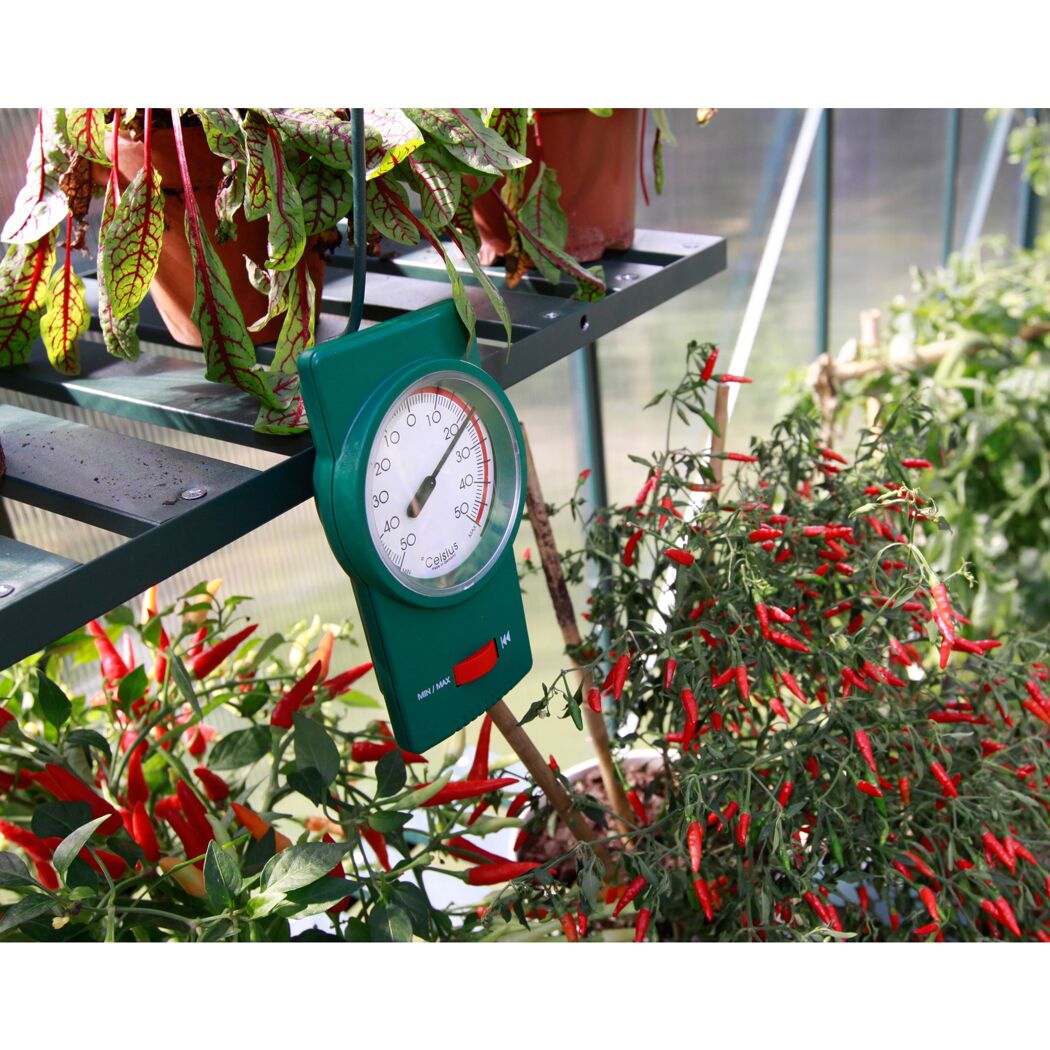 Min-Max-Thermometer im Gewächshaus