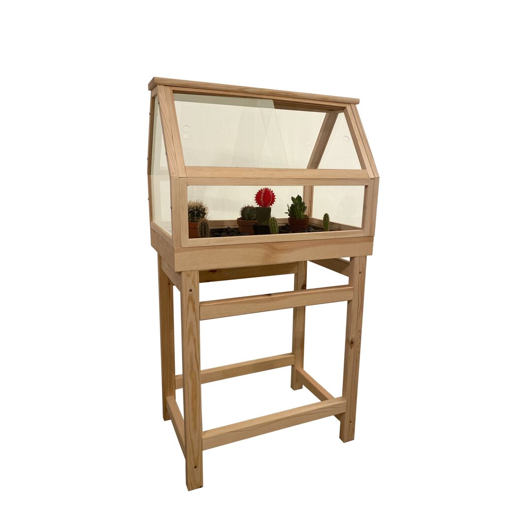 Minigewächshaus aus Holz mit Kakteen