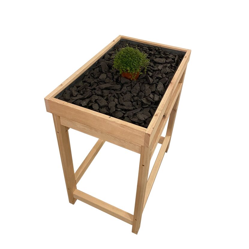 Mini-Gewächshaus auf Beinen mit Pflanze