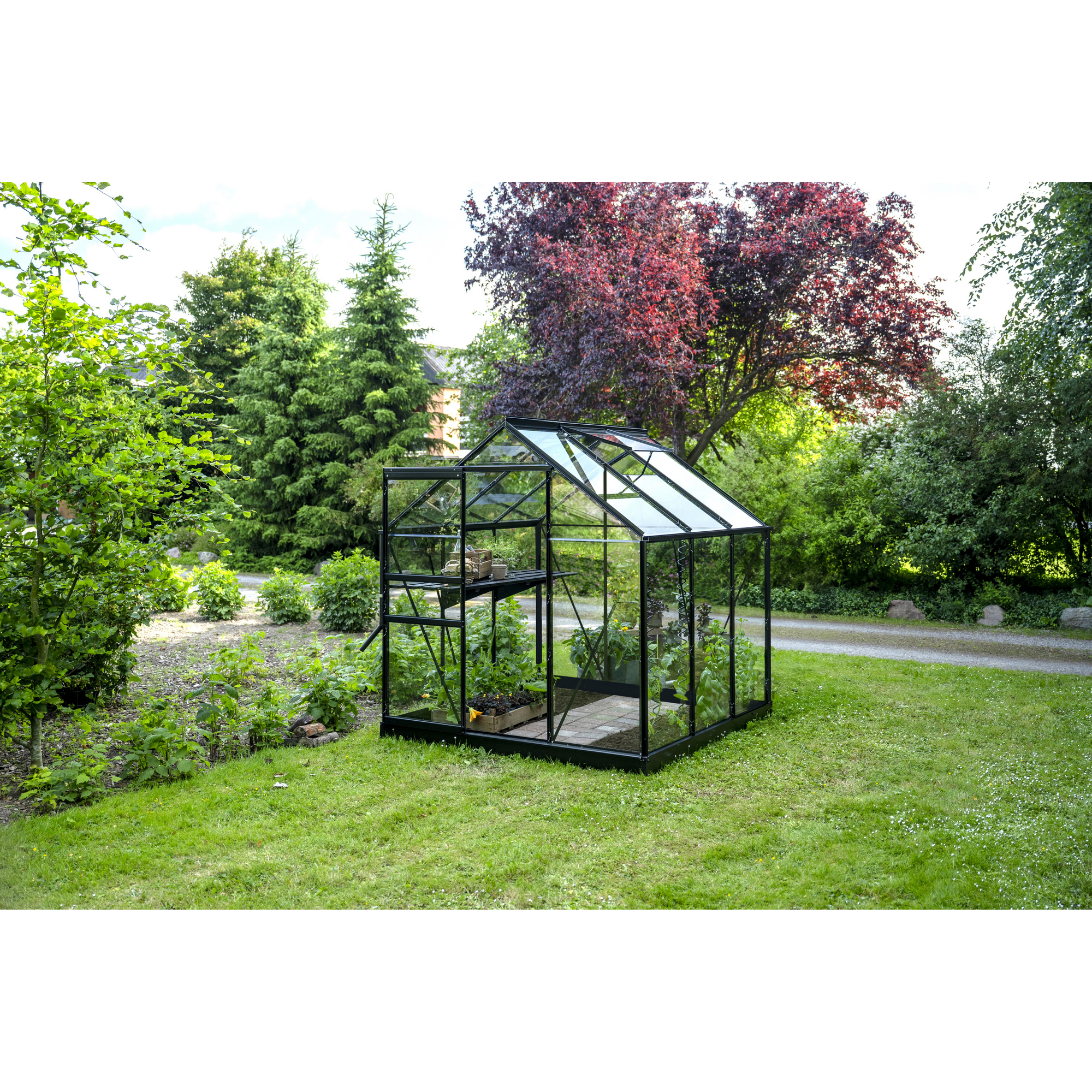 Gewächshaus 'Popular 66' 193 x 195 cm mit 3 mm Sicherheitsglas schwarz