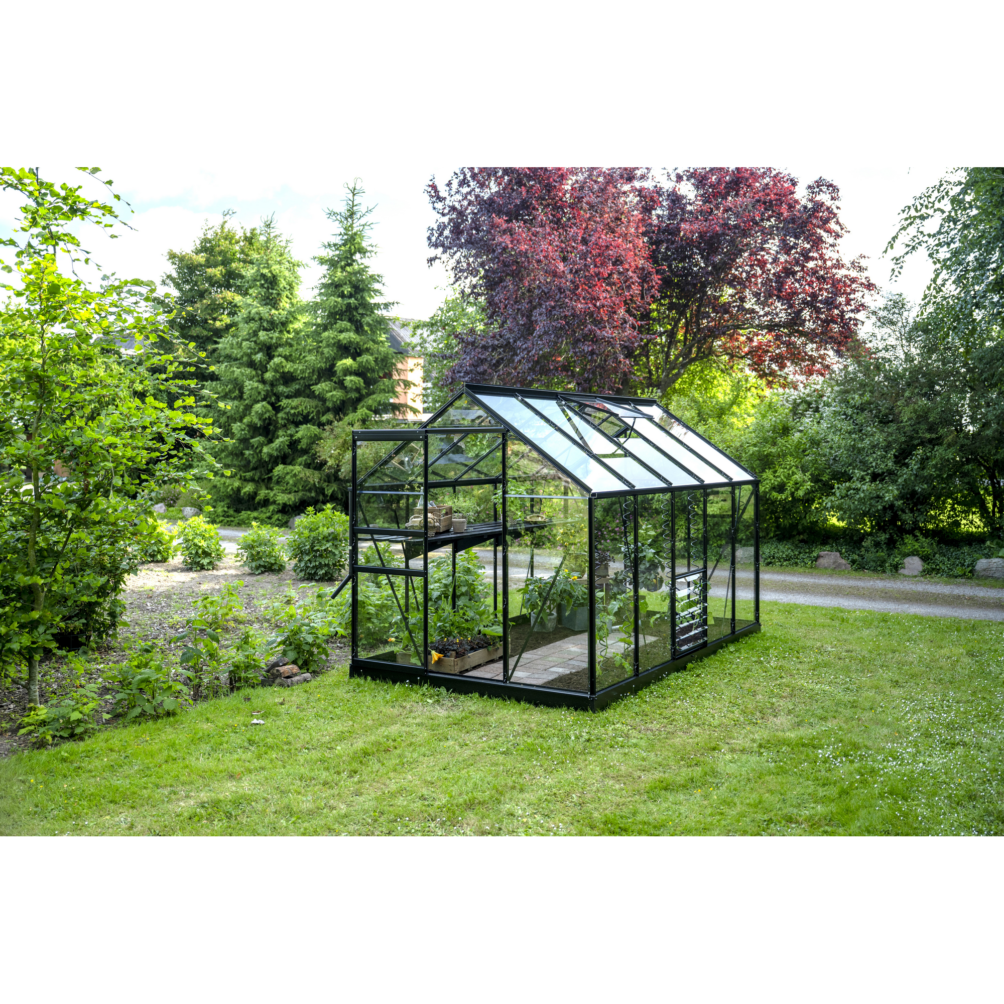 Gewächshaus 'Popular 106' 193 x 319 cm mit 3 mm Sicherheitsglas schwarz