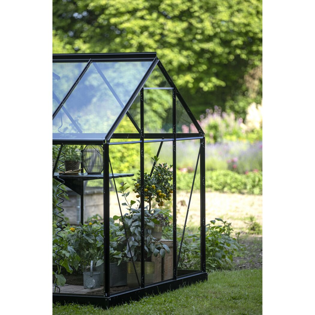 Gewächshaus 'Popular 106' 193 x 319 cm schwarz mit 3 mm Sicherheitsglas