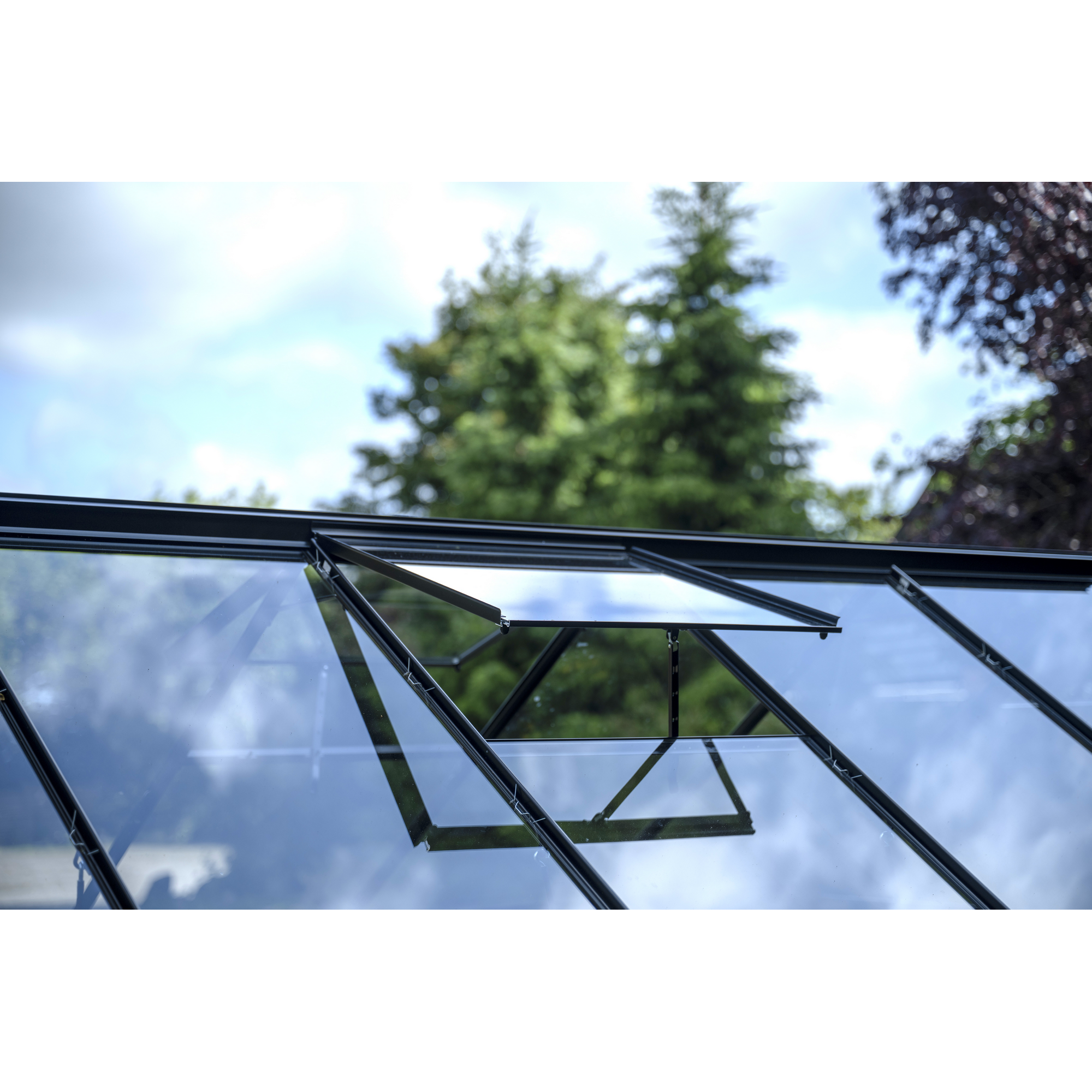 Gewächshaus 'Popular 106' 193 x 319 cm mit 3 mm Sicherheitsglas schwarz