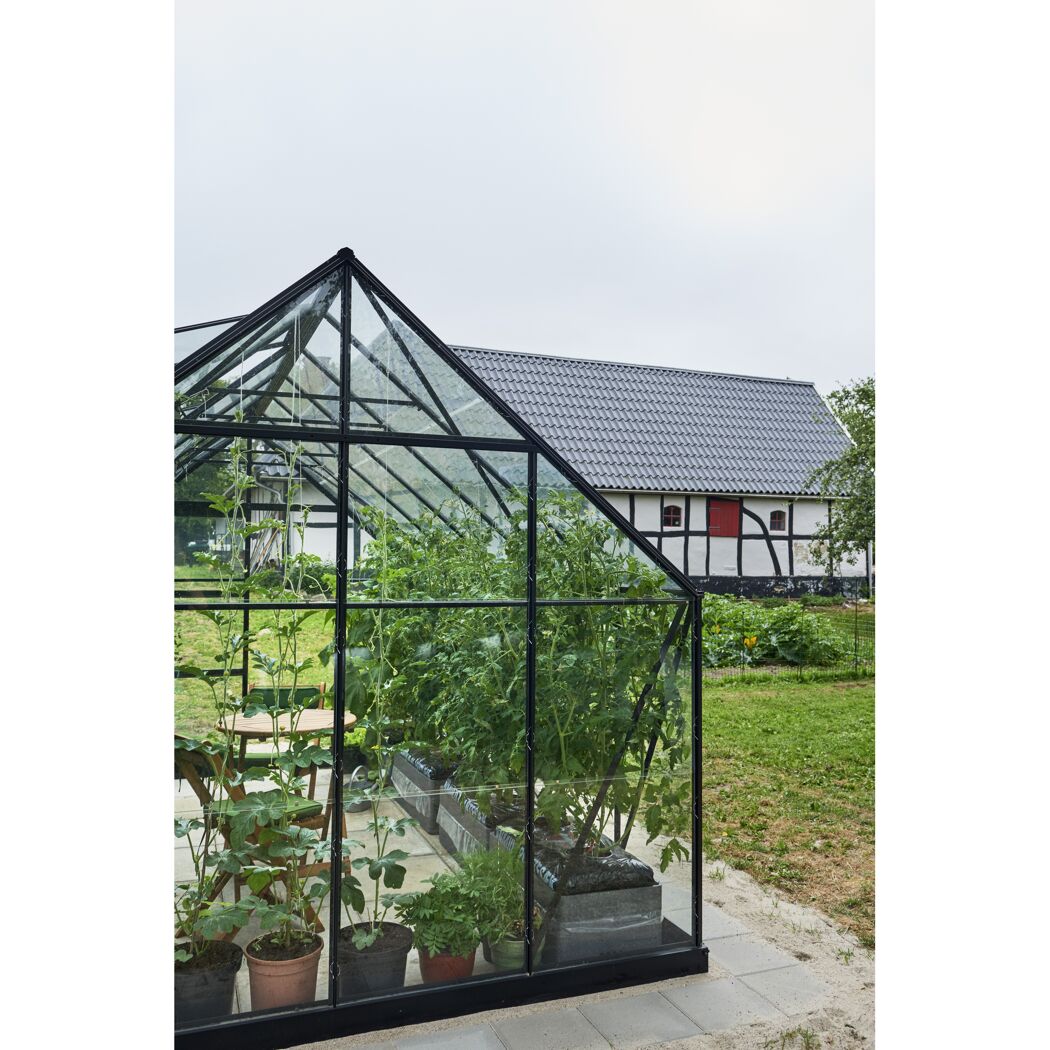 Gewächshaus mit Tomatenpflanzen und Sitzecke