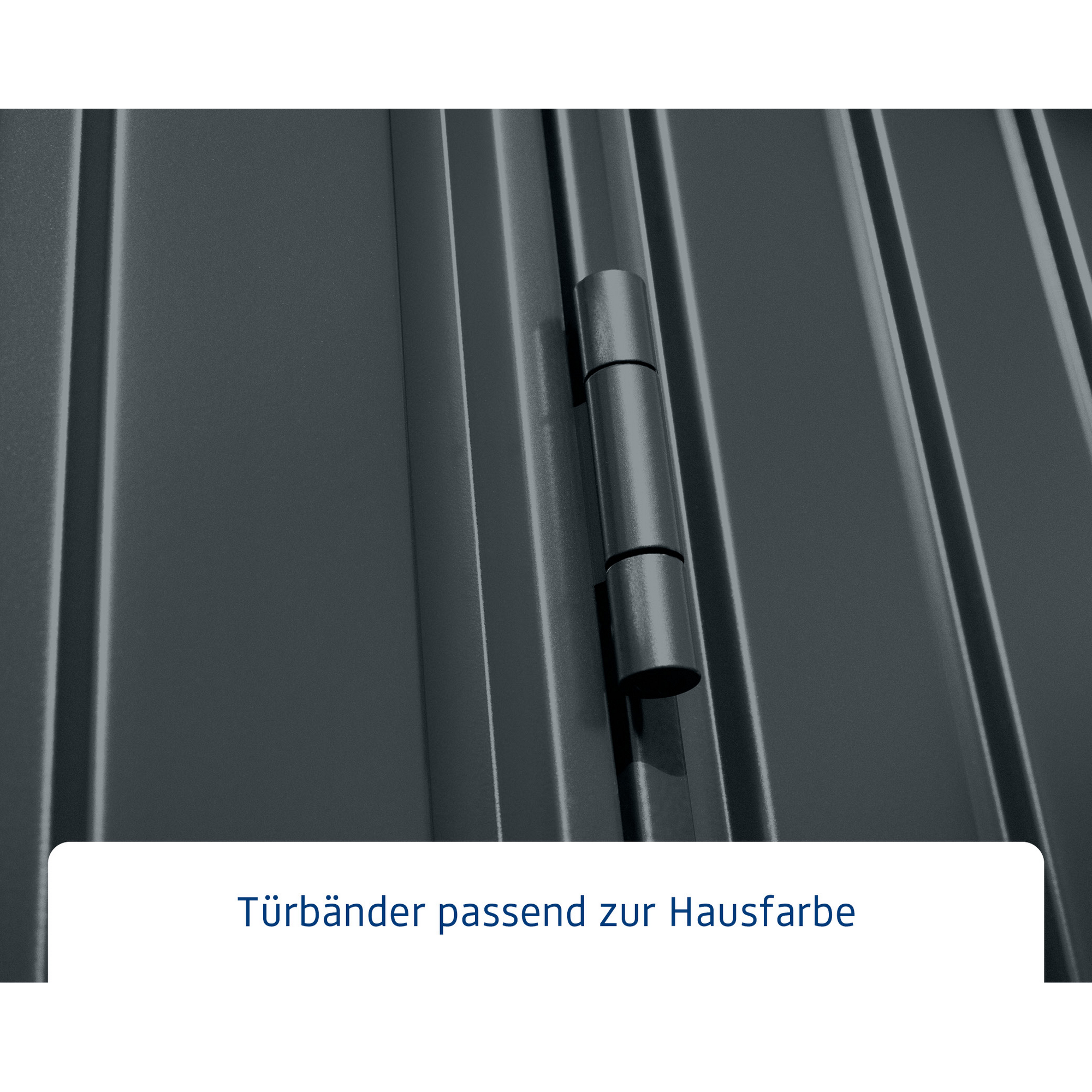 Gerätehaus 'Trend-P Typ 1' anthrazitgrau 238 x 107,8 cm, mit Einzeltür + product picture
