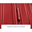 Verkleinertes Bild von Gerätehaus 'Trend-P Typ 2' purpurrot 238 x 238 cm, mit Einzeltür